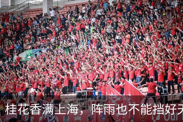 桂花香满上海，阵雨也不能挡好天气的脚步